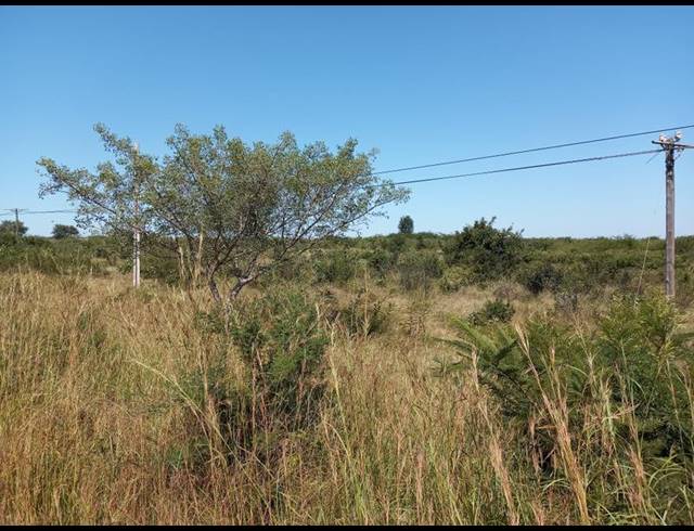 LAND FOR SALE IN MAVAMBE